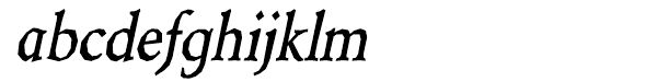 Berylium Bold Italic abcdefghijklm