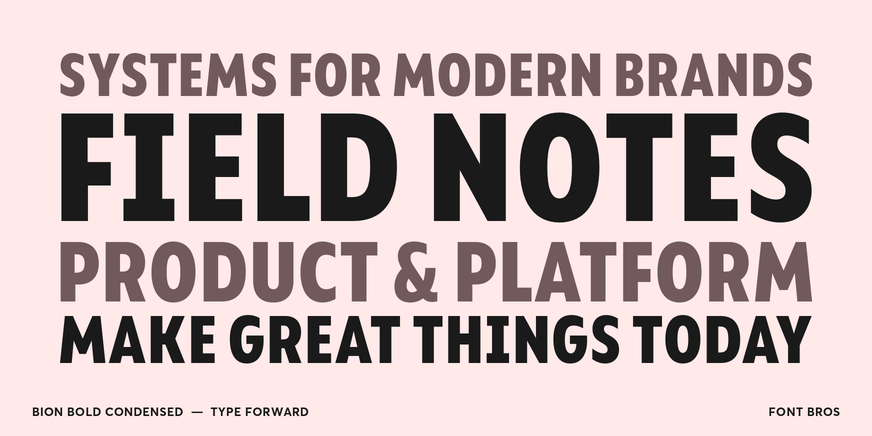 Bion Bold Condensed character specimen 2