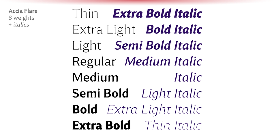 Accia Flare Light family specimen 2