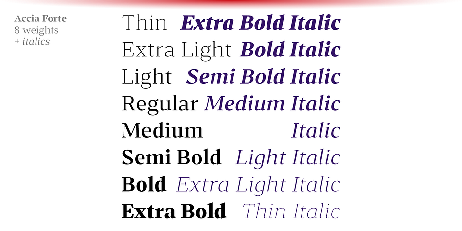 Accia Forte Light family specimen 2