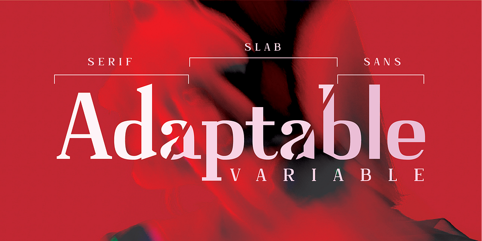 Adaptable Regular Serif family preview