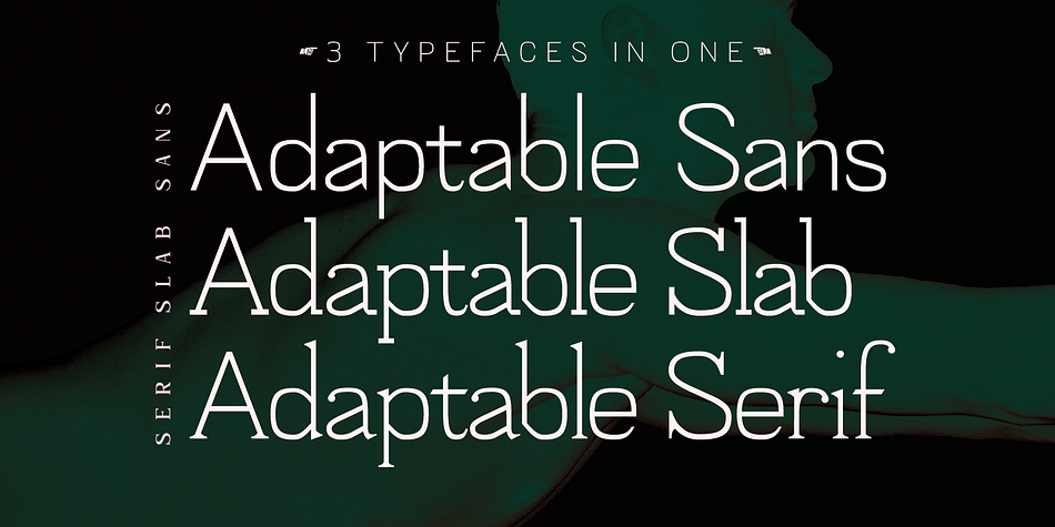 Adaptable Regular Serif family specimen 2