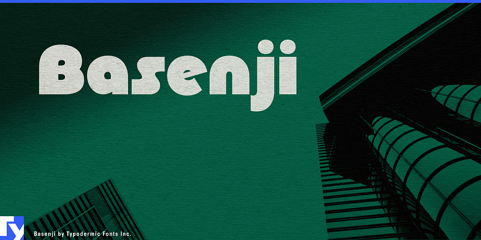 Basenji Semi Bold family preview