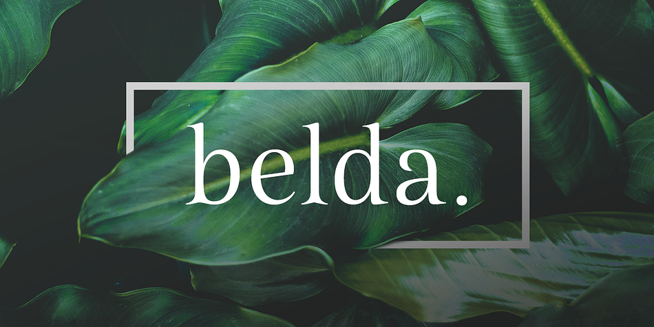 Belda Regular family preview