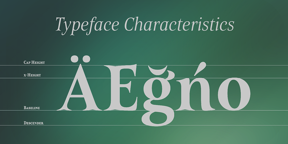 Belda Regular family specimen 2