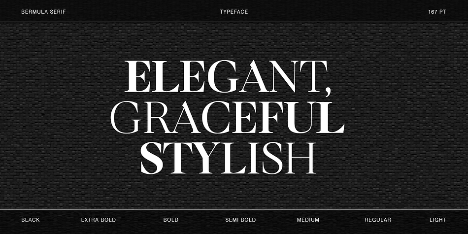 Bermula Light Italic family specimen 2