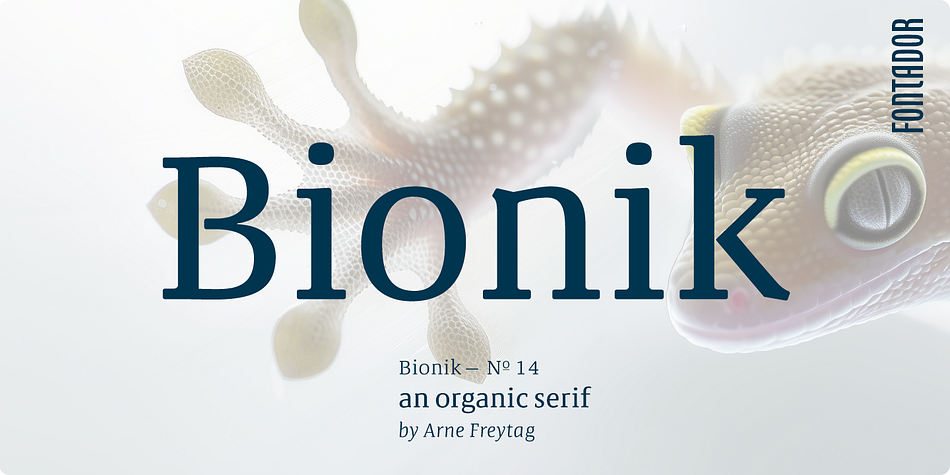 Bionik Light family preview