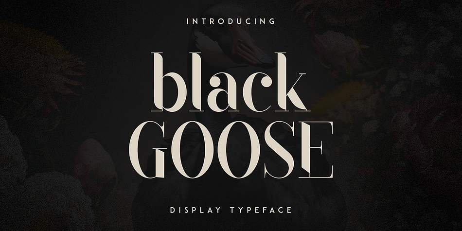 Black Goose Cut family preview