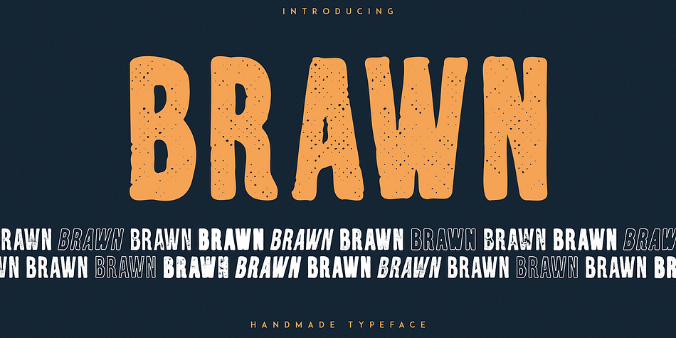 Brawn Light Lines family preview