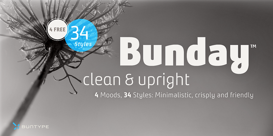 Bunday Clean Thin Italic family preview