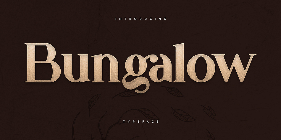 Bungalow Display Bold family preview