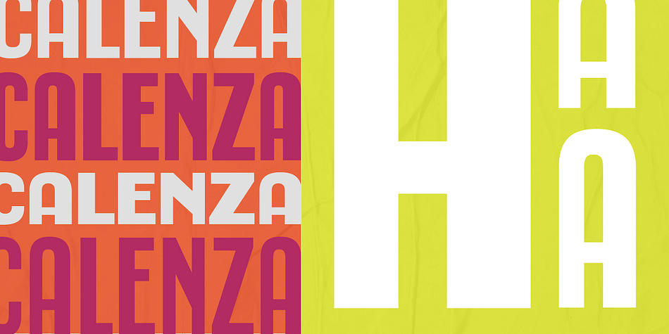 Calenza Poster family specimen 2