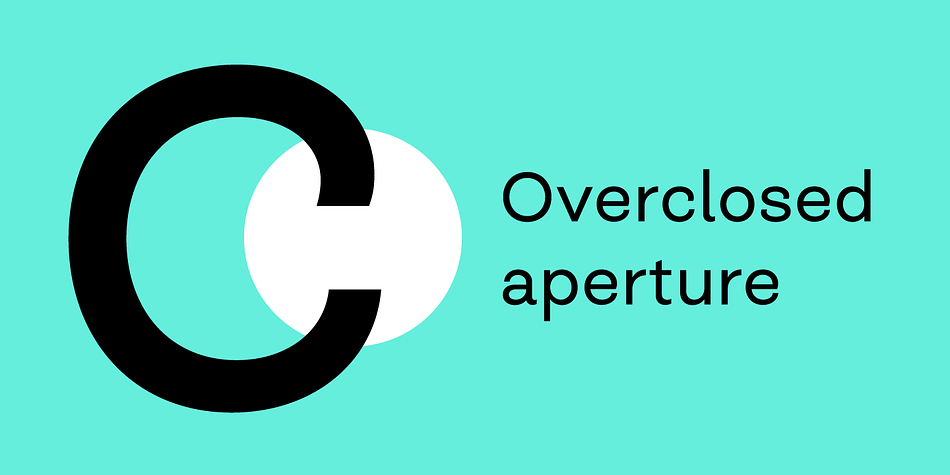 Closer Text Light Italic family specimen 2