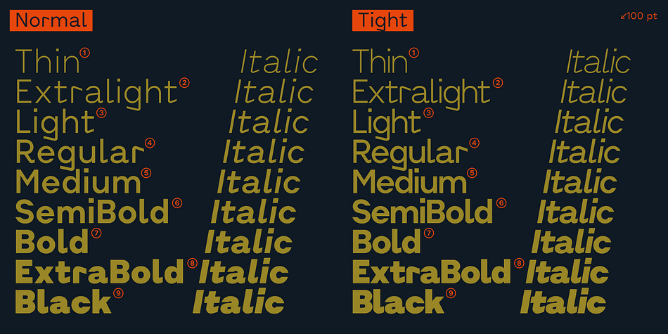Cluster Edge Semi Bold family specimen 2