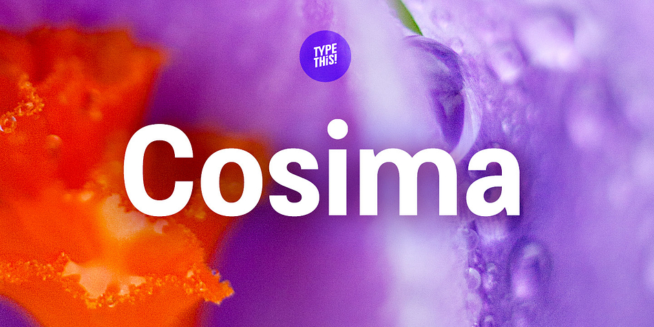 Cosima Medium family preview