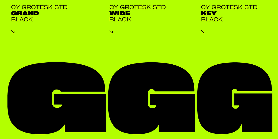 Cy Grotesk Std Grand Demi family specimen 2
