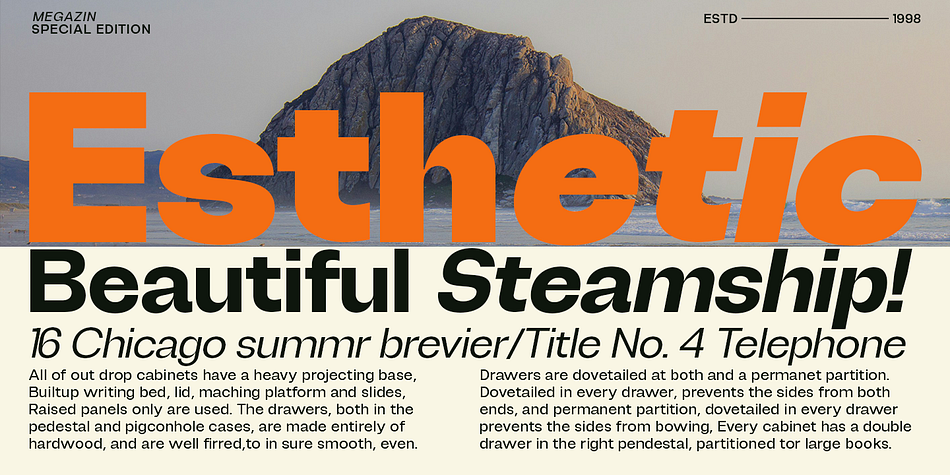 Degitan Condensed Thin family specimen 2