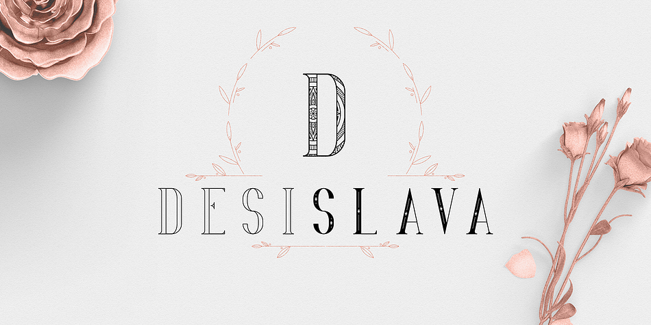 Desislava Regular family preview