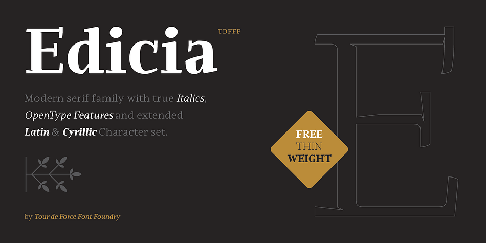 Edicia Thin family preview
