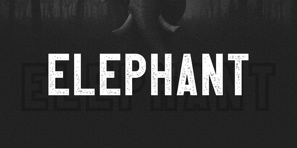 Elephant Rough family preview