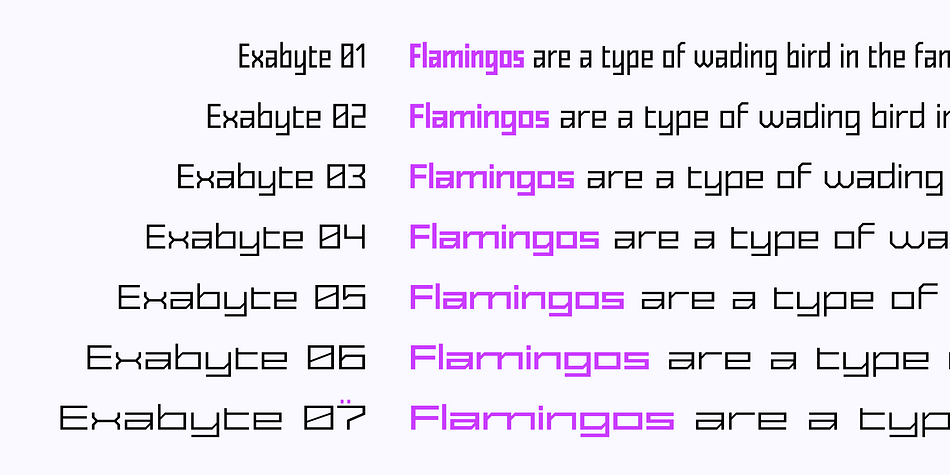 Exabyte 06 Extra Bold family specimen 2