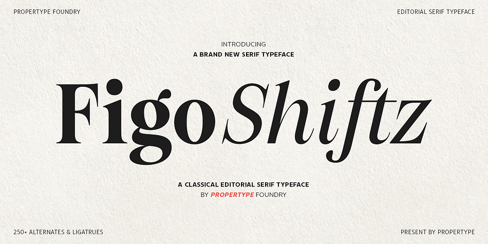 Figo Shiftz Thin family preview