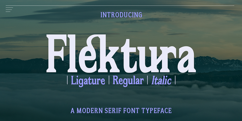 Flektura Regular family preview