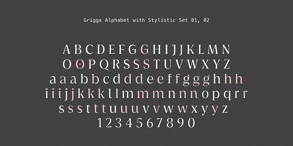 Griggs Sans Thin family specimen 2