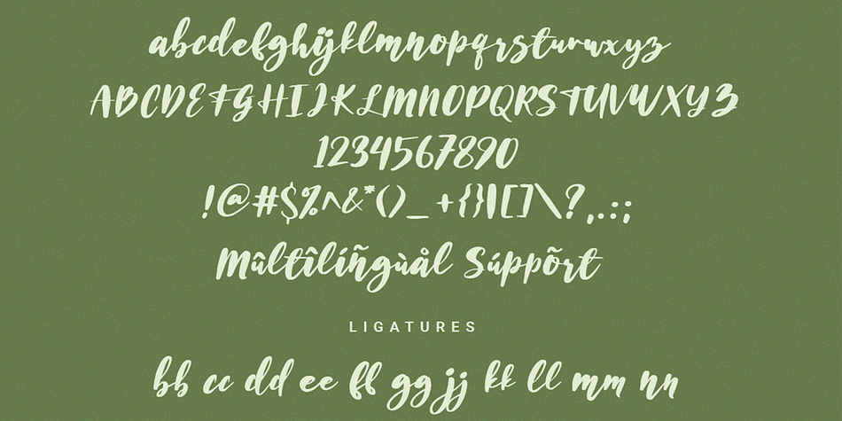 Husein Script Regular family specimen 2