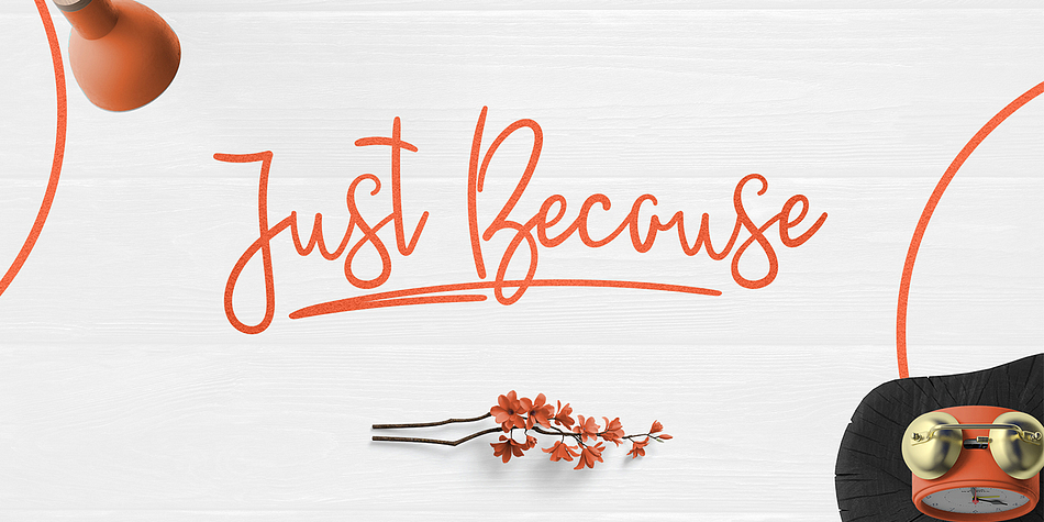 JustBecause Regular family preview
