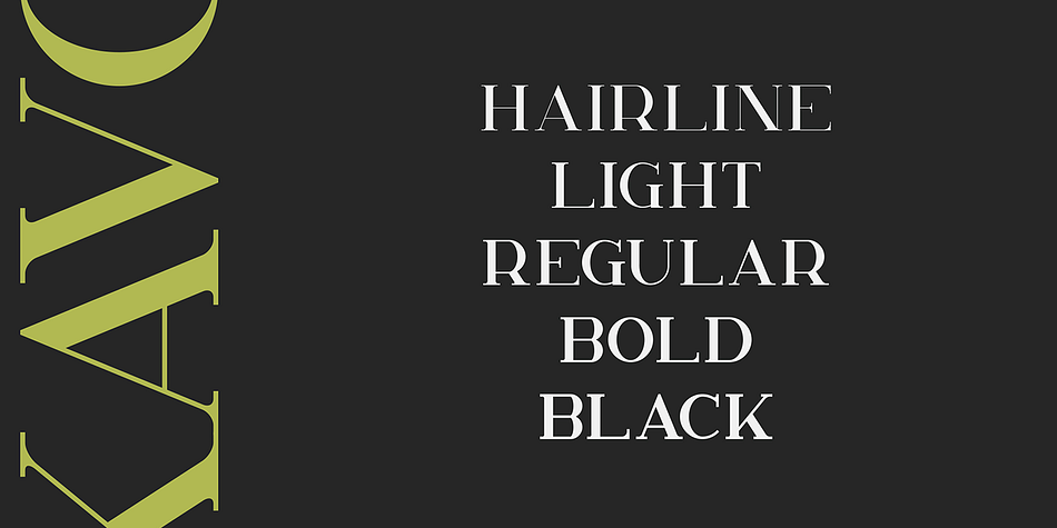 Kavo Serif Regular family specimen 2