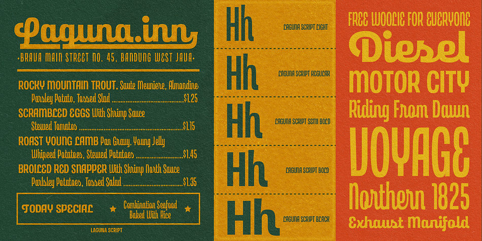 Laguna Vintage Block Medium family specimen 2