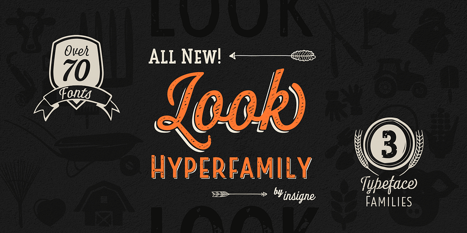 Look Script Wood Bold family preview