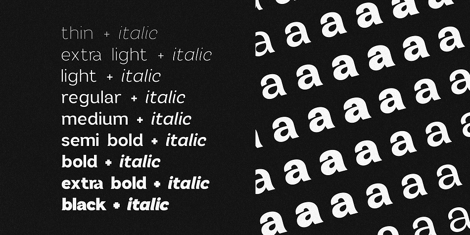 Modo Light family specimen 2