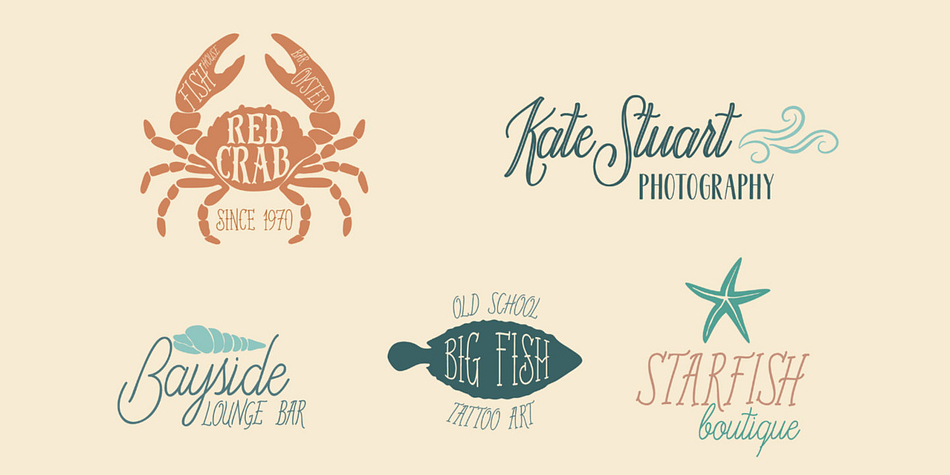 Old Harbour Starfish family specimen 2