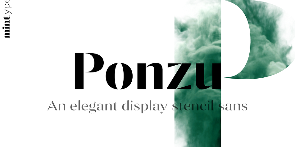 Ponzu Light Italic family preview