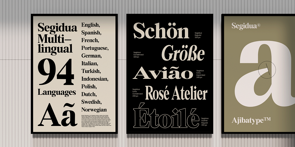 Segidua Grade Outline Italic family specimen 2