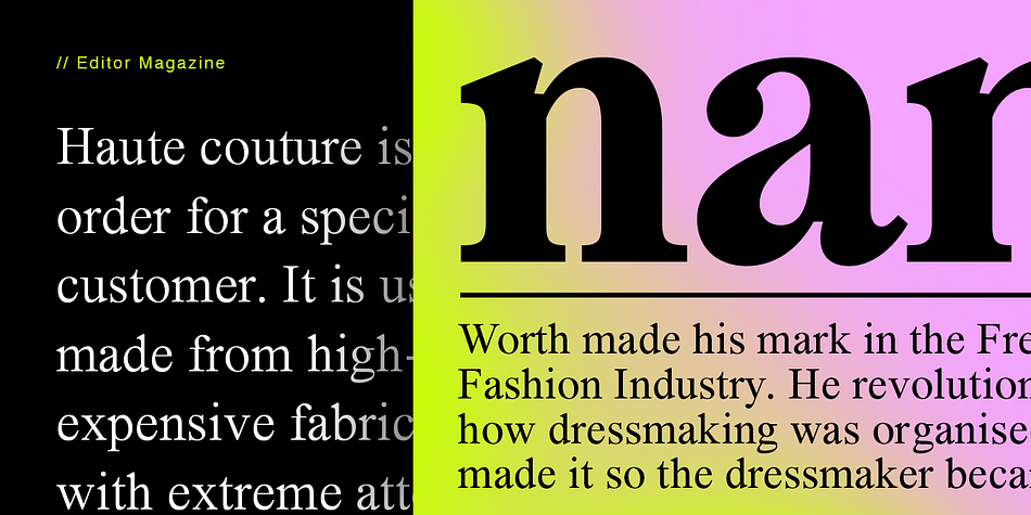Segikan Light Italic family specimen 2
