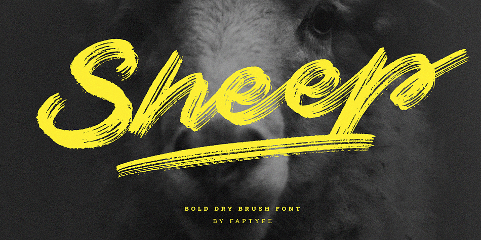 Sheep Regular family preview