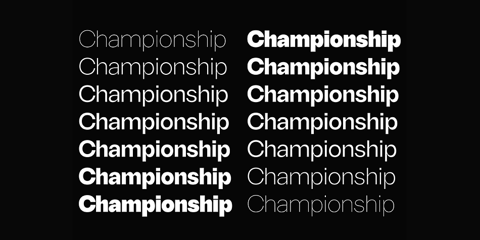 Sherika Thin Italic family specimen 2