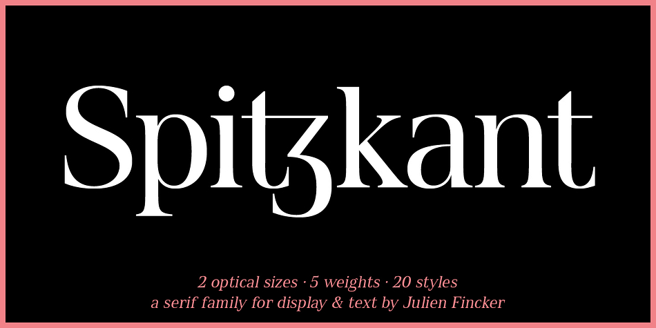 Spitzkant Text Medium family preview