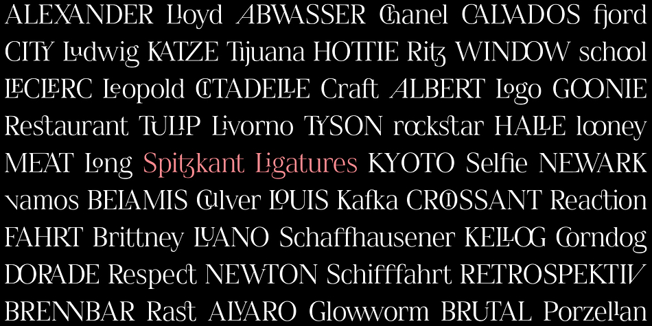 Spitzkant Text Medium family specimen 2