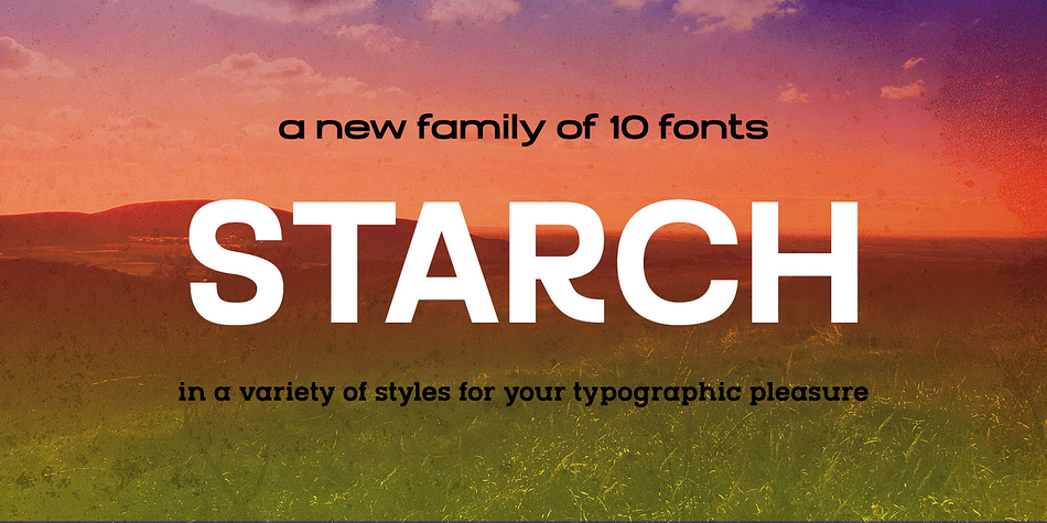 Starch Raw family preview