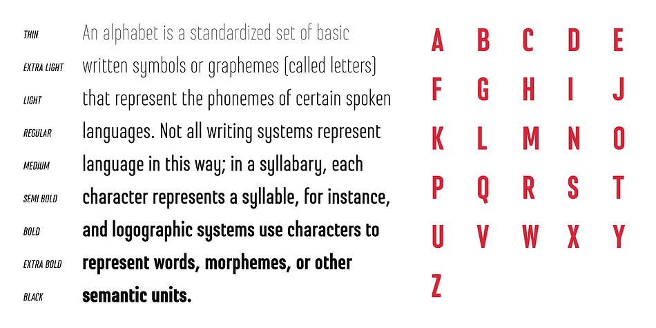 Steclo Extra Light Italic family specimen 2