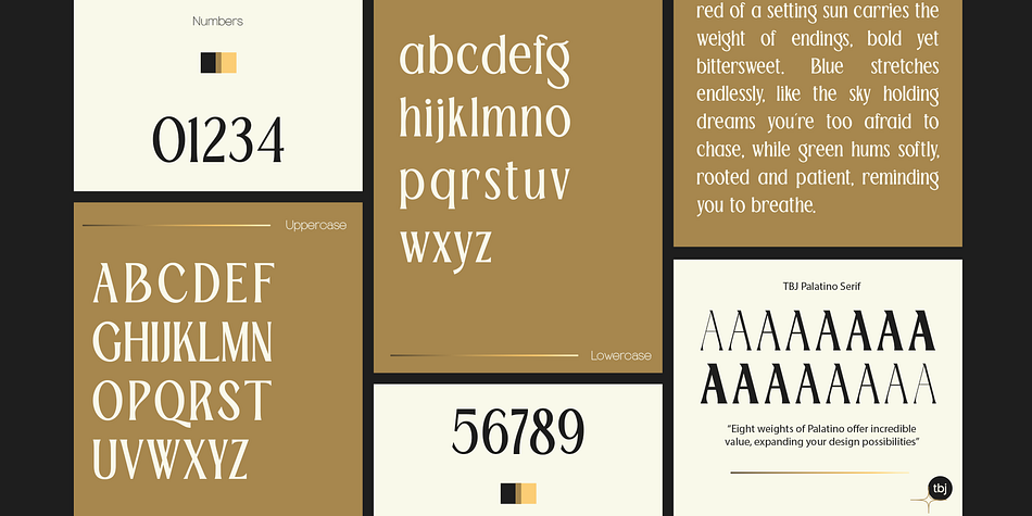TBJ Palatino Serif Extra Bold family specimen 2
