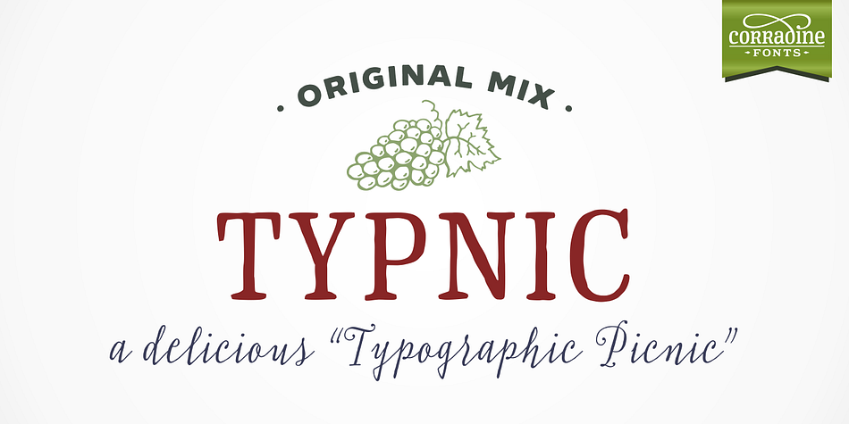 Typnic Titling Regular family preview