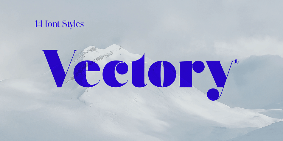 Vectory Regular family preview