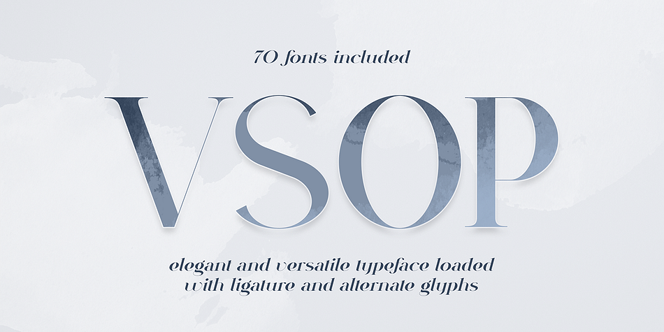VSOP Regular 3 family preview