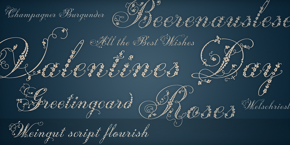 Weingut Swashes and Ornaments family specimen 2