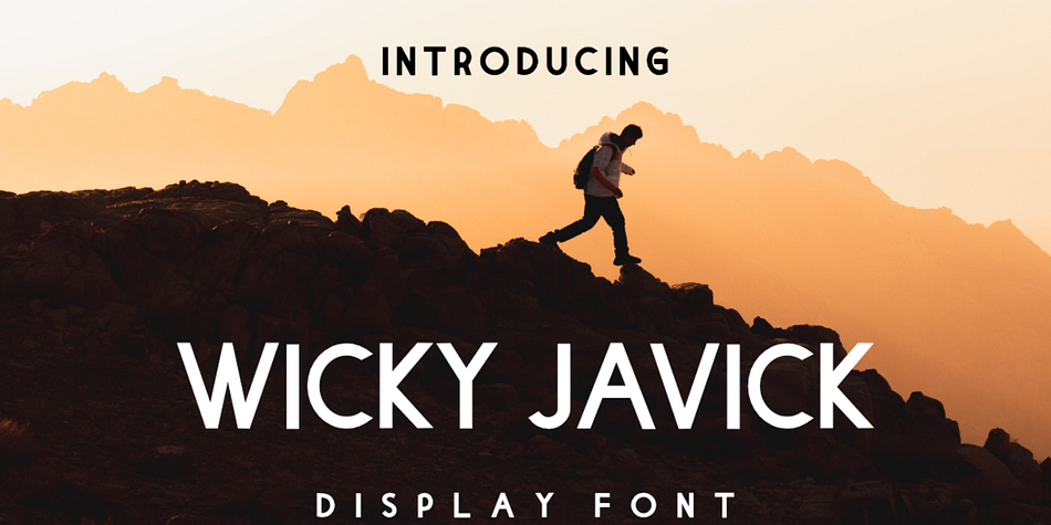 Wicky Javick Bold family preview